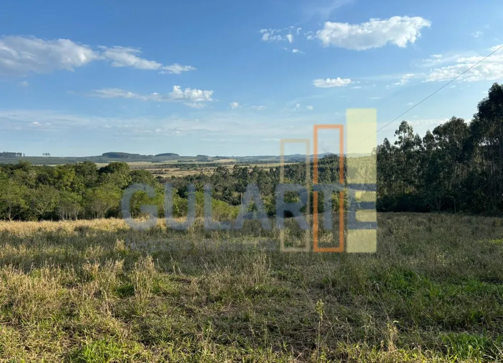 Fazenda, 56 hectares - Foto 2