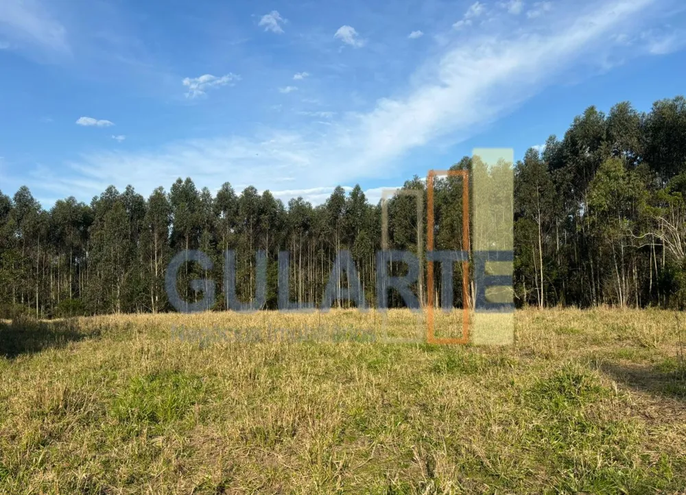 Fazenda, 56 hectares - Foto 4