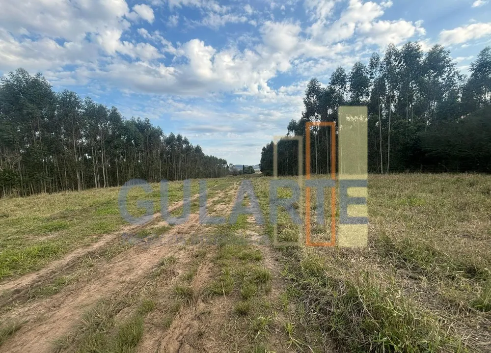 Fazenda, 56 hectares - Foto 2