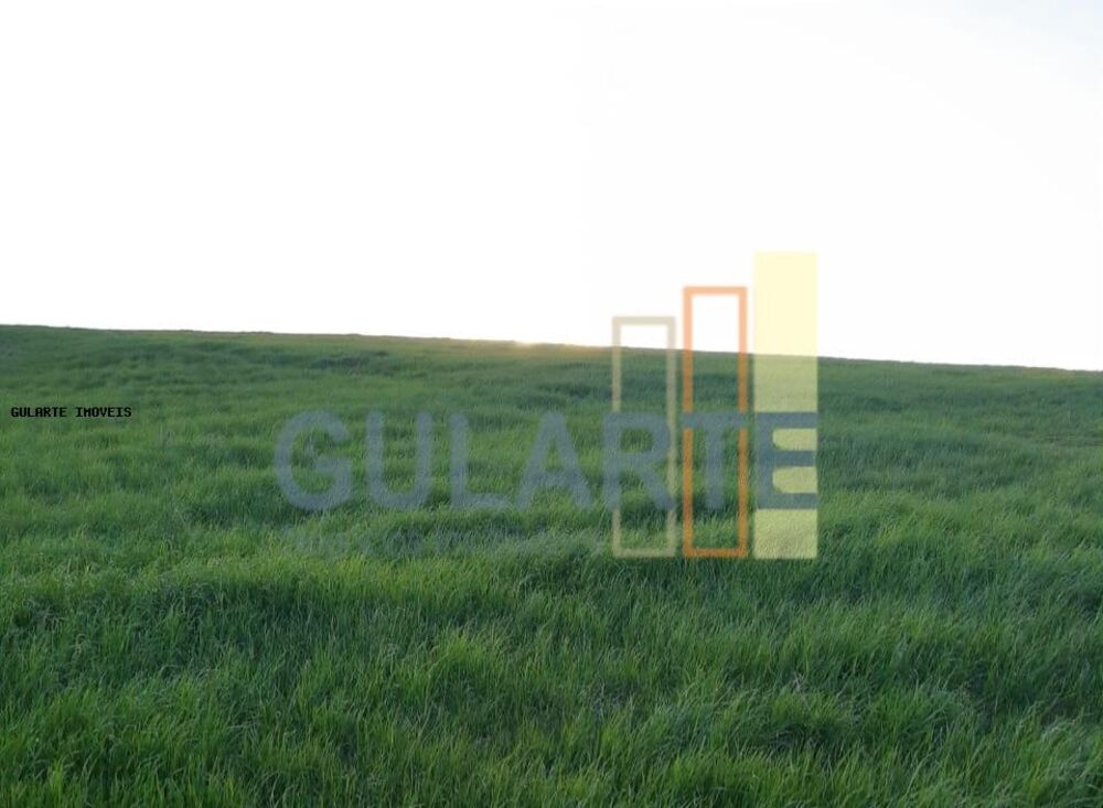 Fazenda, 121 hectares - Foto 2