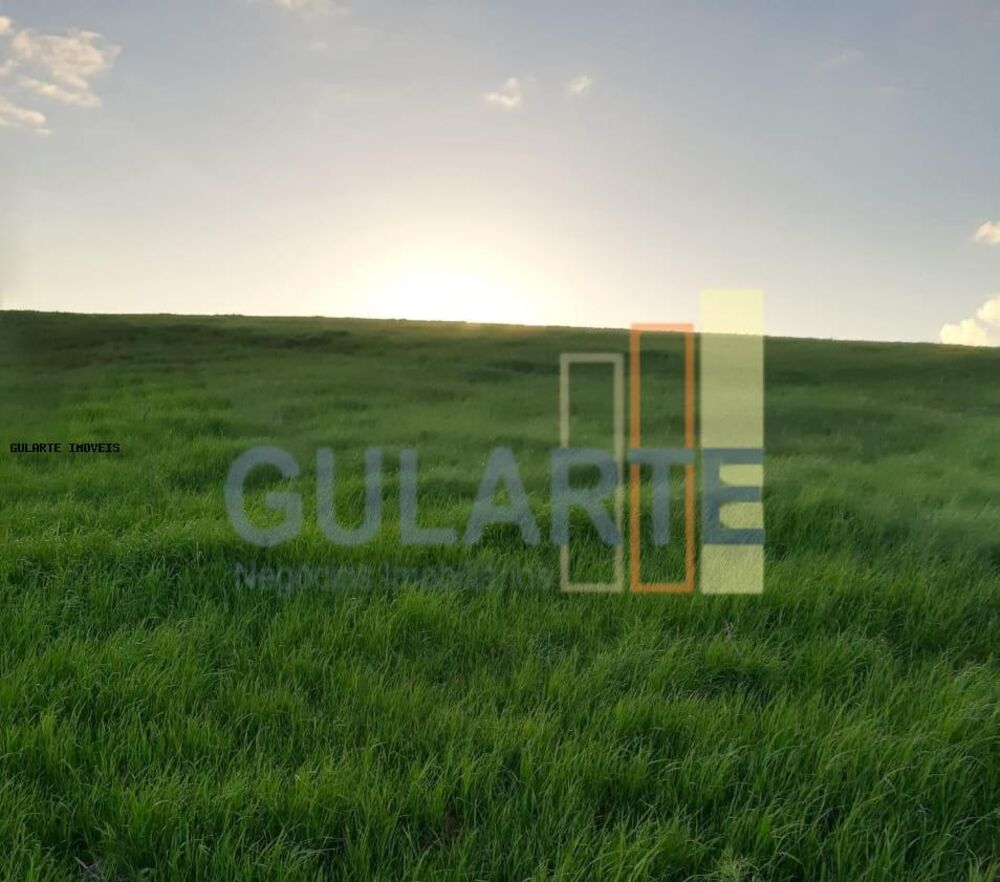 Fazenda, 121 hectares - Foto 1