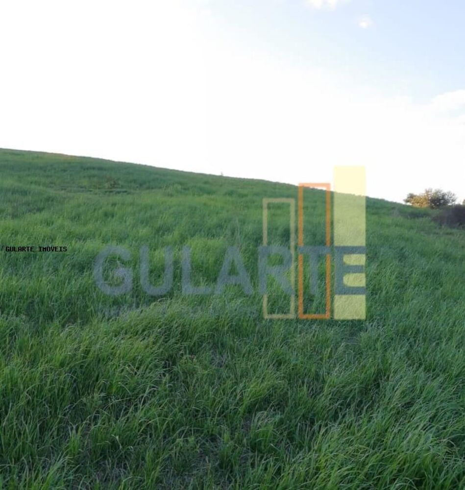 Fazenda, 121 hectares - Foto 7