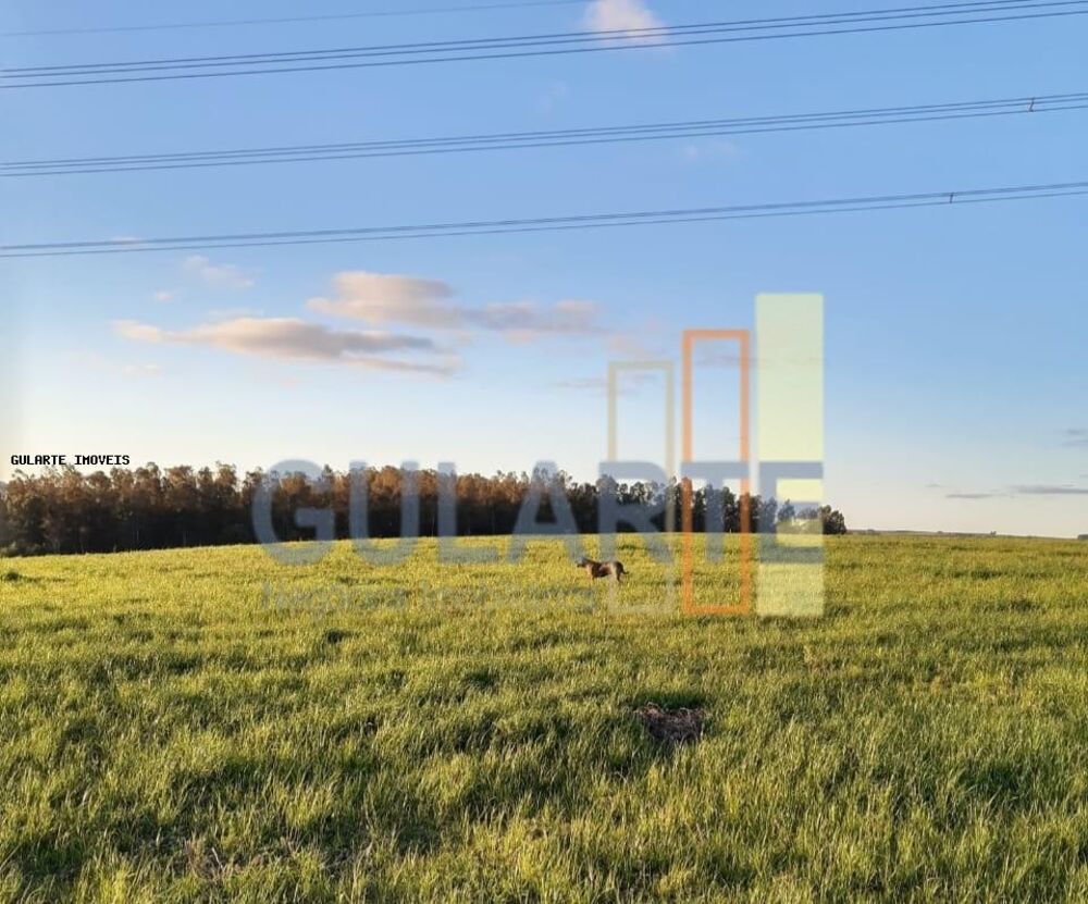 Fazenda, 121 hectares - Foto 9