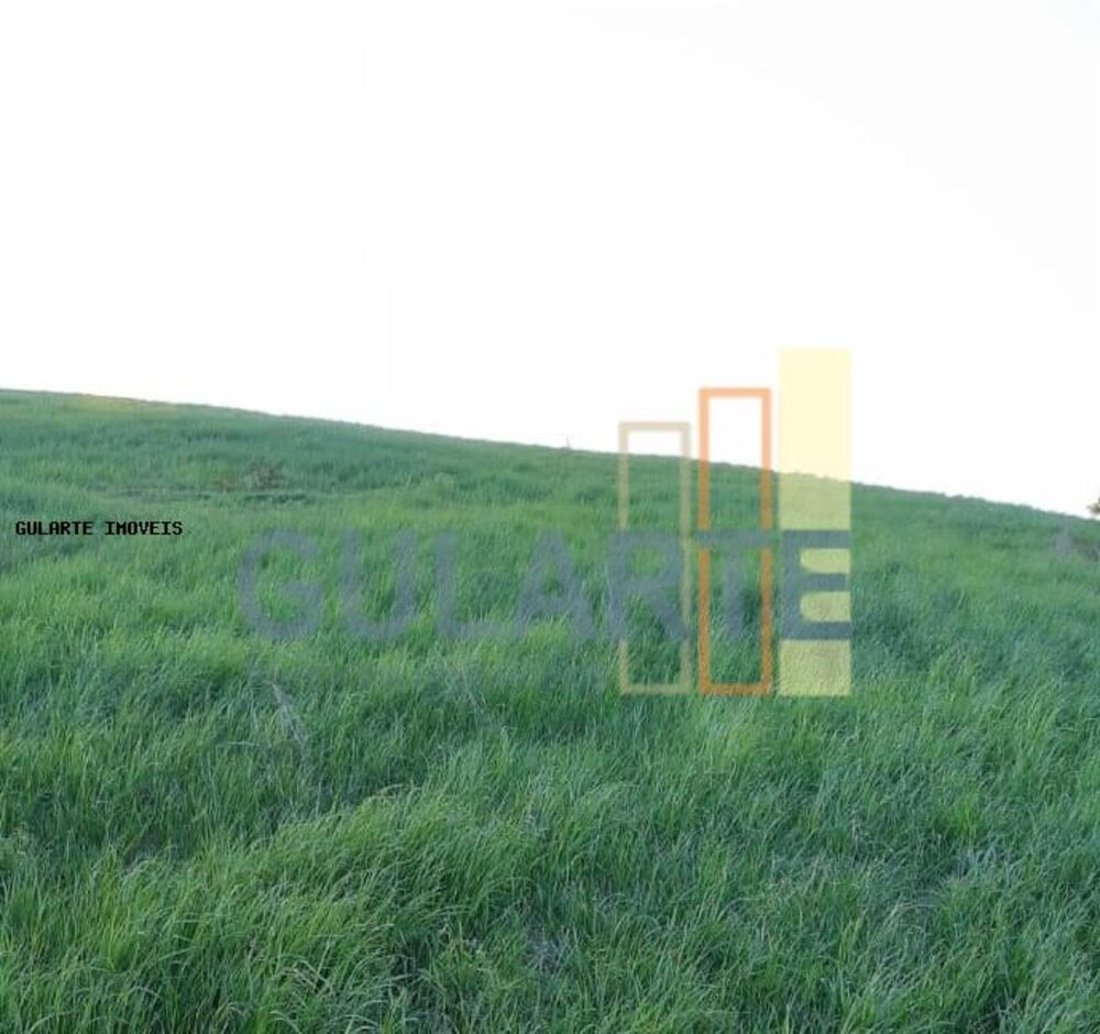 Fazenda, 121 hectares - Foto 11