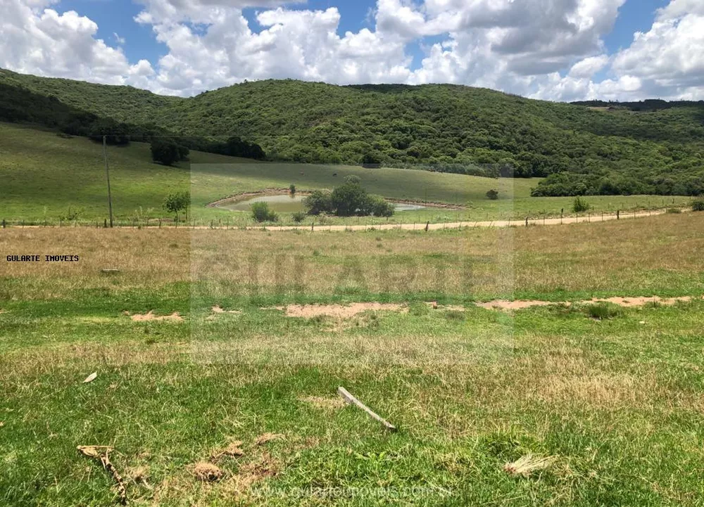 Fazenda, 1710 hectares - Foto 9