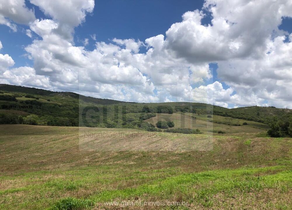 Fazenda-Sítio-Chácara, 1710 hectares - Foto 5