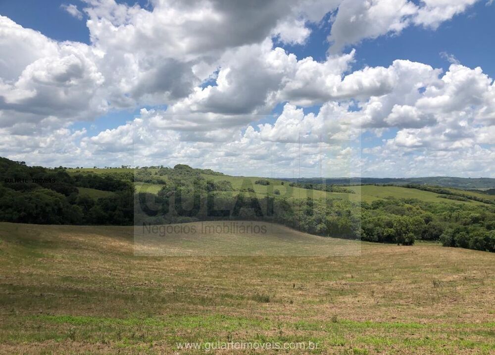 Fazenda-Sítio-Chácara, 1710 hectares - Foto 3