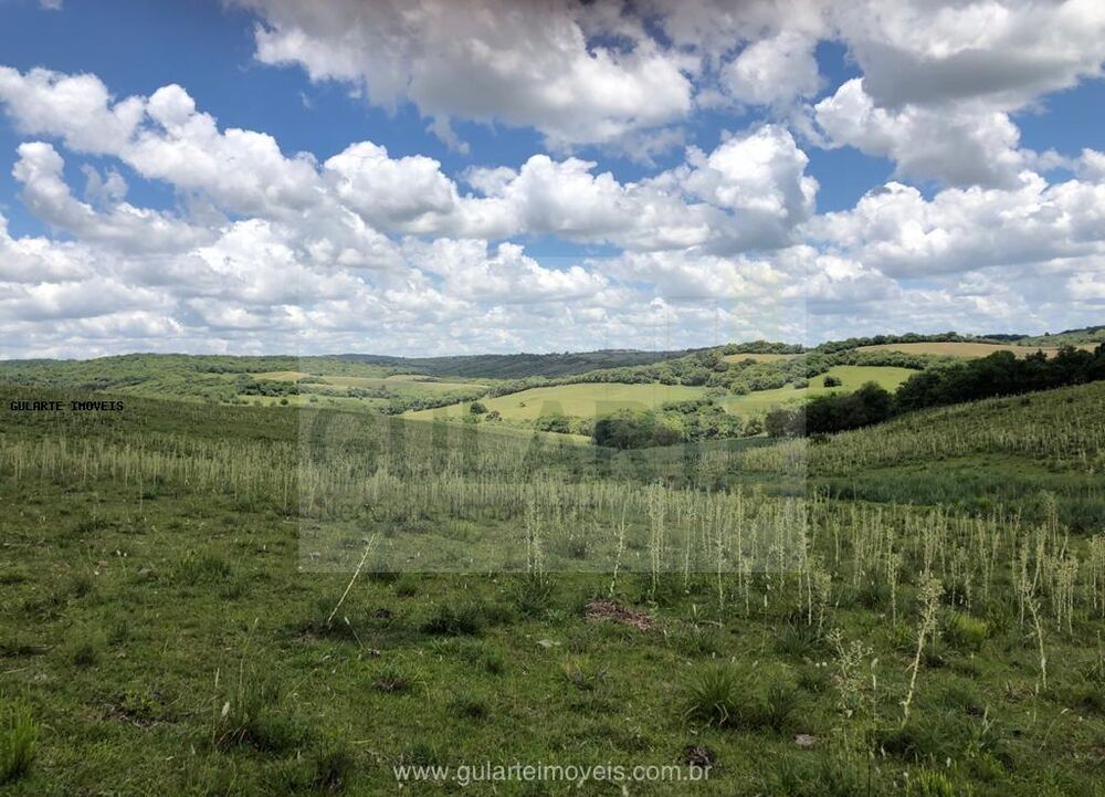 Fazenda-Sítio-Chácara, 1710 hectares - Foto 2