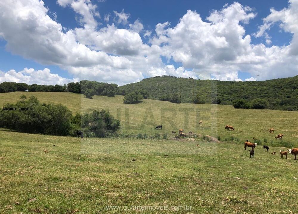 Fazenda-Sítio-Chácara, 1710 hectares - Foto 4