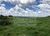 Fazenda-Sítio-Chácara, 1710 hectares - Foto 1