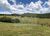 Fazenda-Sítio-Chácara, 1710 hectares - Foto 4
