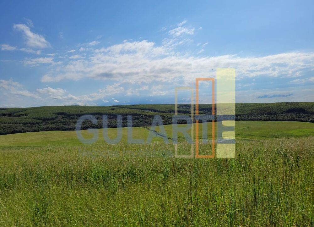 Fazenda à venda, 1860000m² - Foto 5