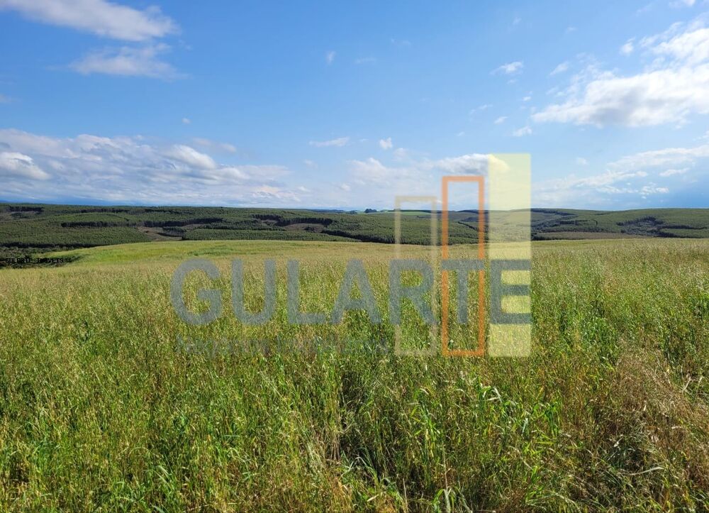 Fazenda à venda, 1860000m² - Foto 1
