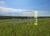 Fazenda-Sítio-Chácara, 186 hectares - Foto 4
