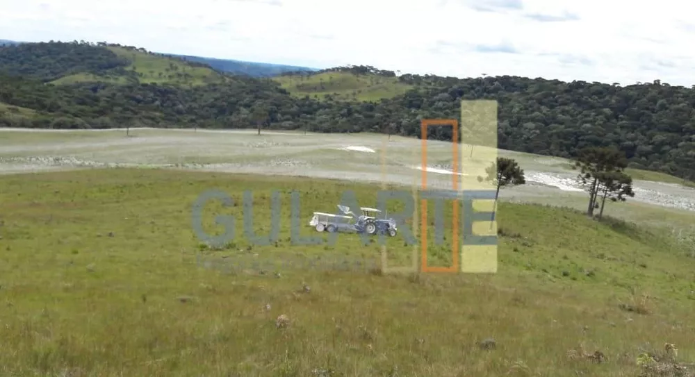 Fazenda, 58 hectares - Foto 6