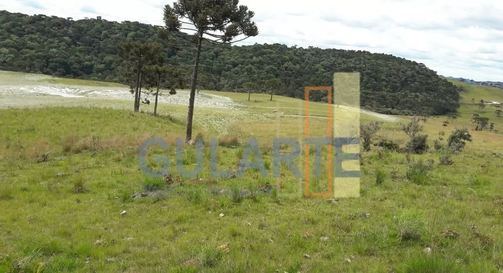 Fazenda, 58 hectares - Foto 2