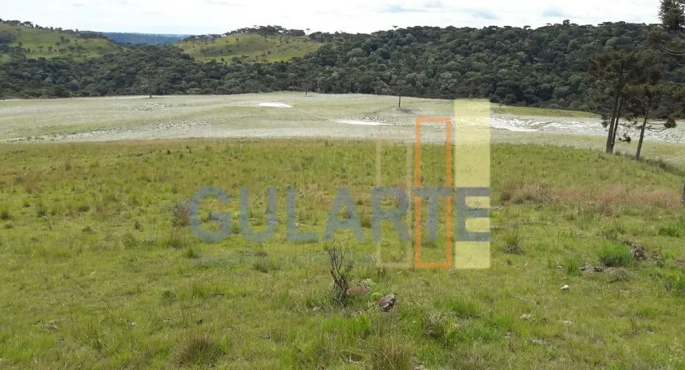 Sítio, 58 hectares - Foto 2