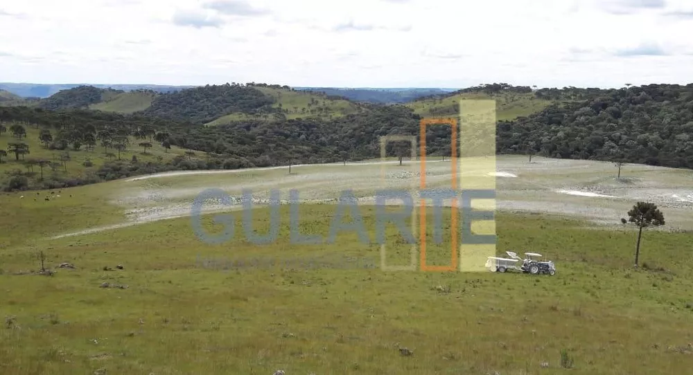 Fazenda, 58 hectares - Foto 4