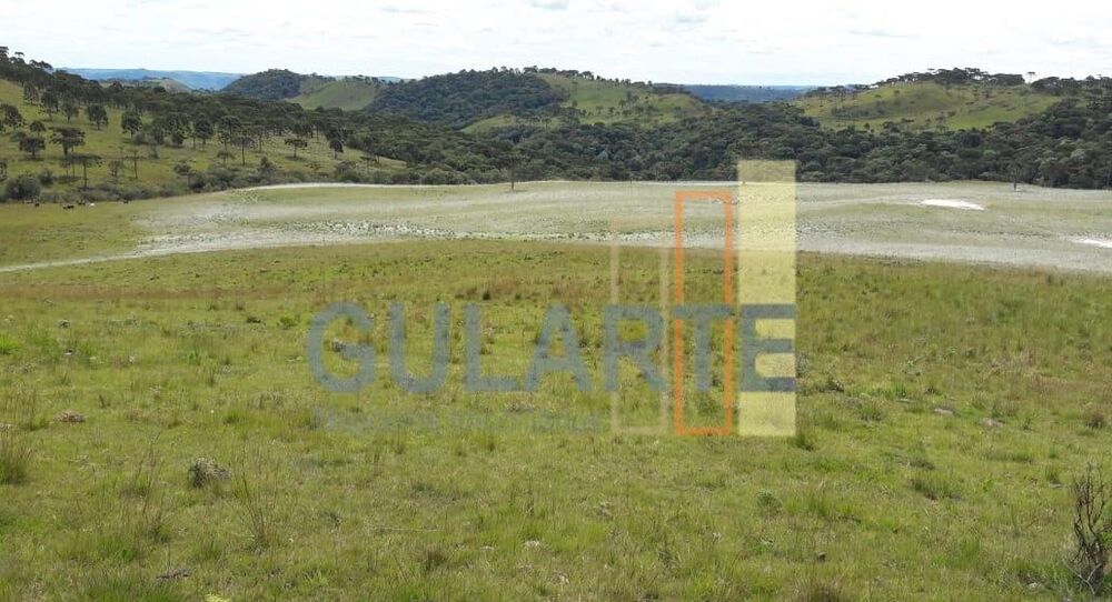 Fazenda, 58 hectares - Foto 1