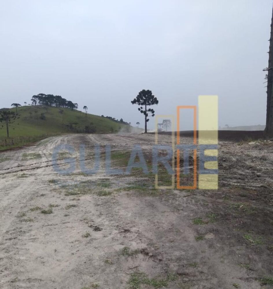 Fazenda, 58 hectares - Foto 7