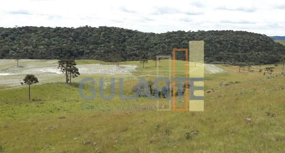 Fazenda, 58 hectares - Foto 3