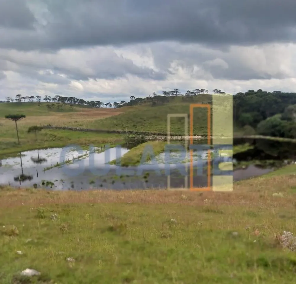 Sítio, 58 hectares - Foto 4
