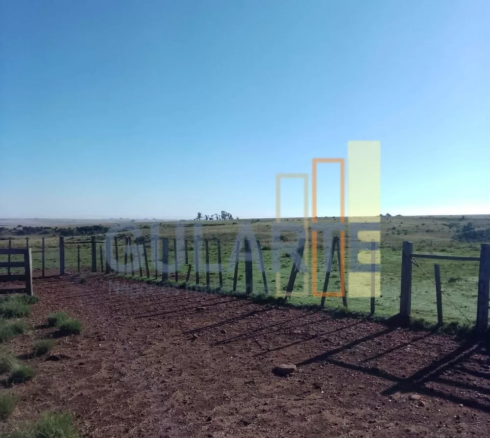 Fazenda, 458 hectares - Foto 2