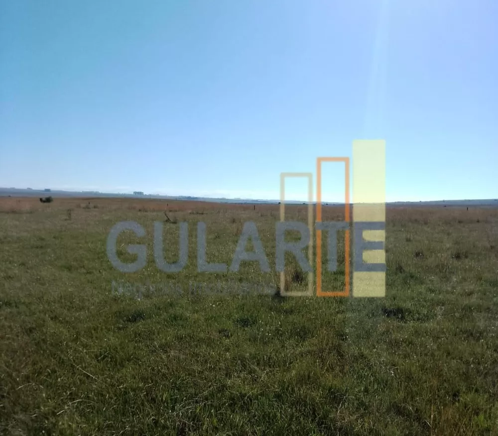 Fazenda, 458 hectares - Foto 5