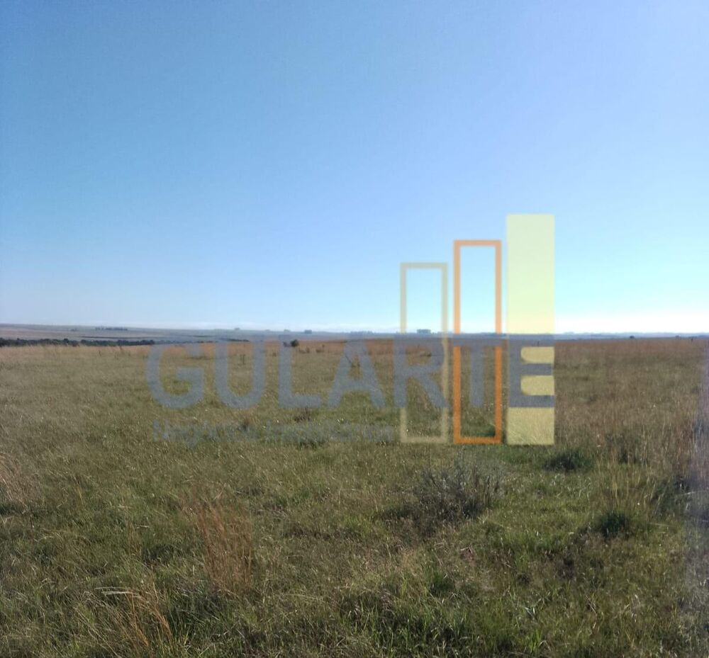 Fazenda, 458 hectares - Foto 3