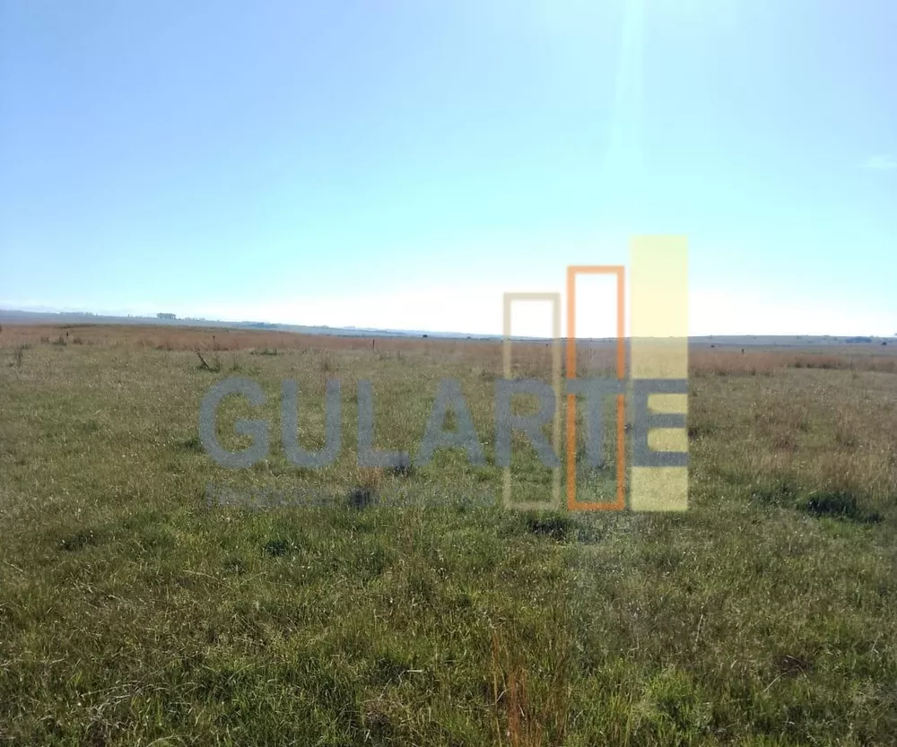 Fazenda, 458 hectares - Foto 4