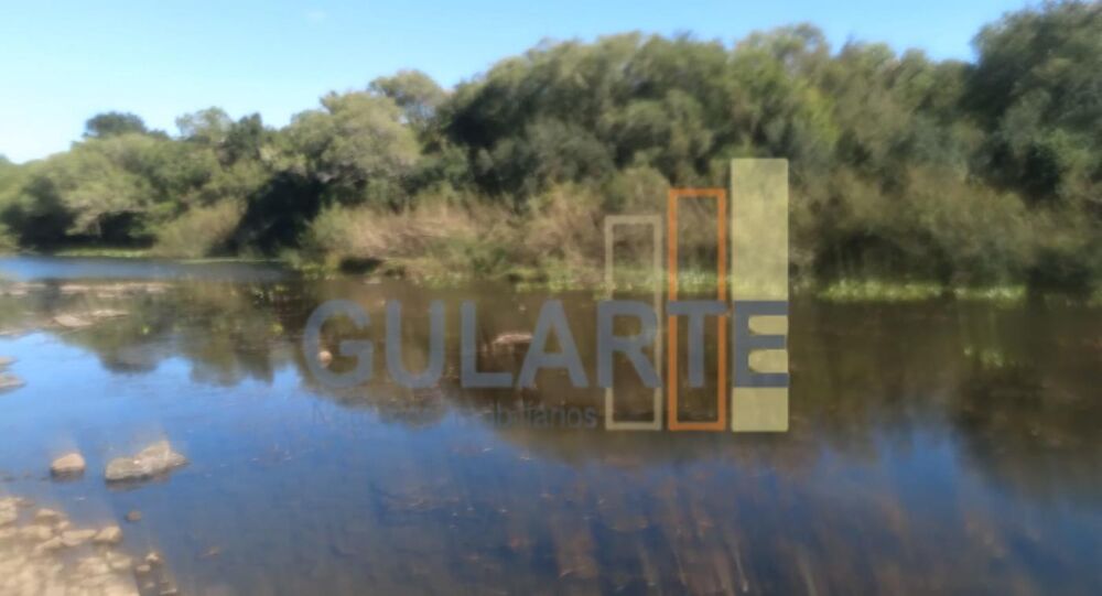 Fazenda, 458 hectares - Foto 8