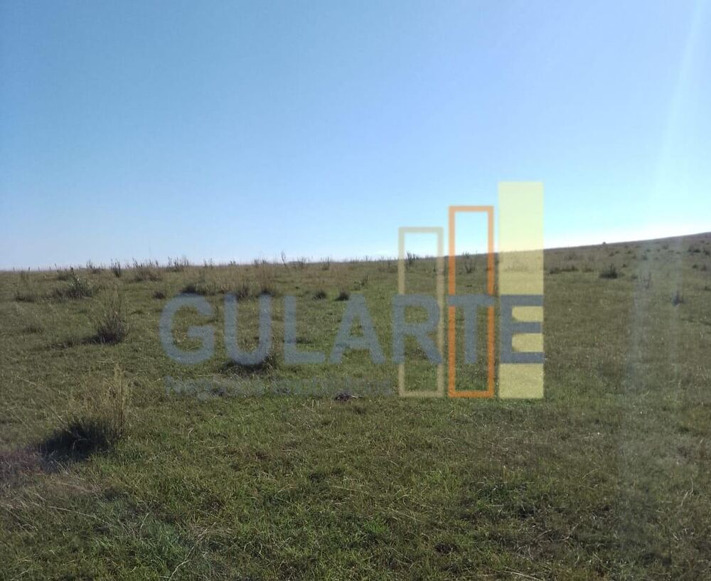 Fazenda, 458 hectares - Foto 7