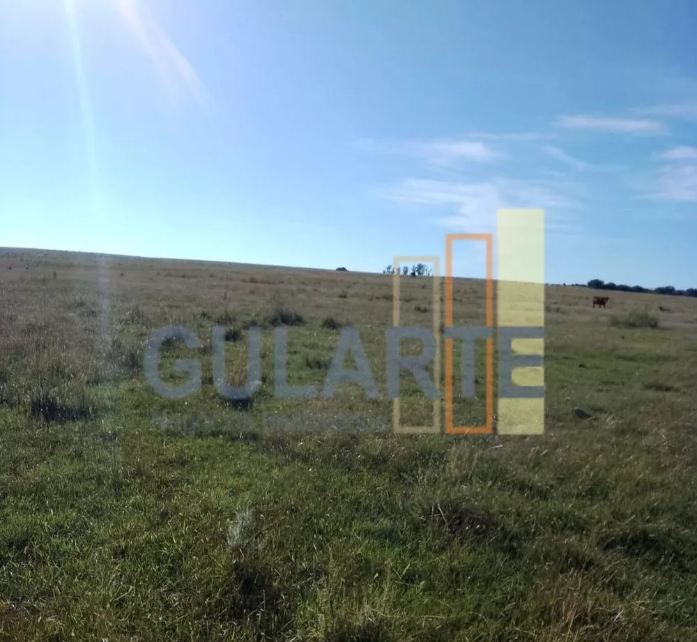 Fazenda, 458 hectares - Foto 1