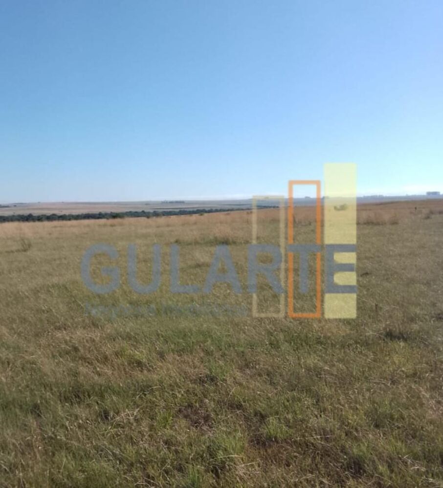 Fazenda, 458 hectares - Foto 6