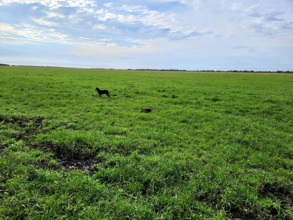Terreno à venda, 8600000m² - Foto 1