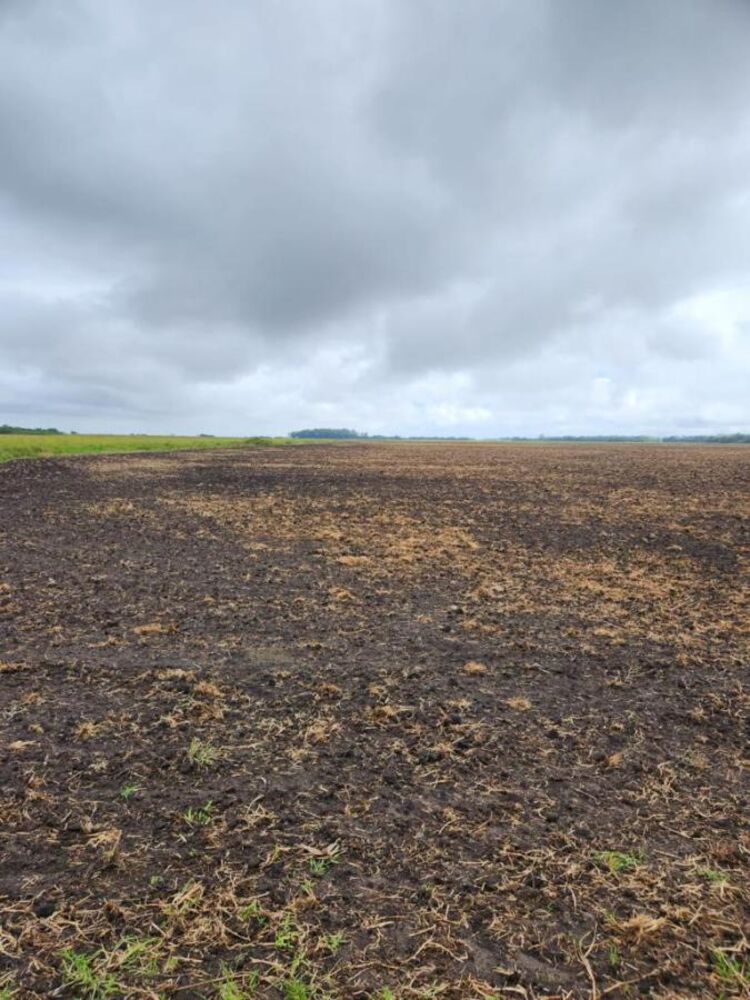 Terreno à venda, 8600000m² - Foto 6