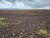 Terreno, 860 hectares - Foto 3