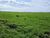 Terreno, 860 hectares - Foto 1
