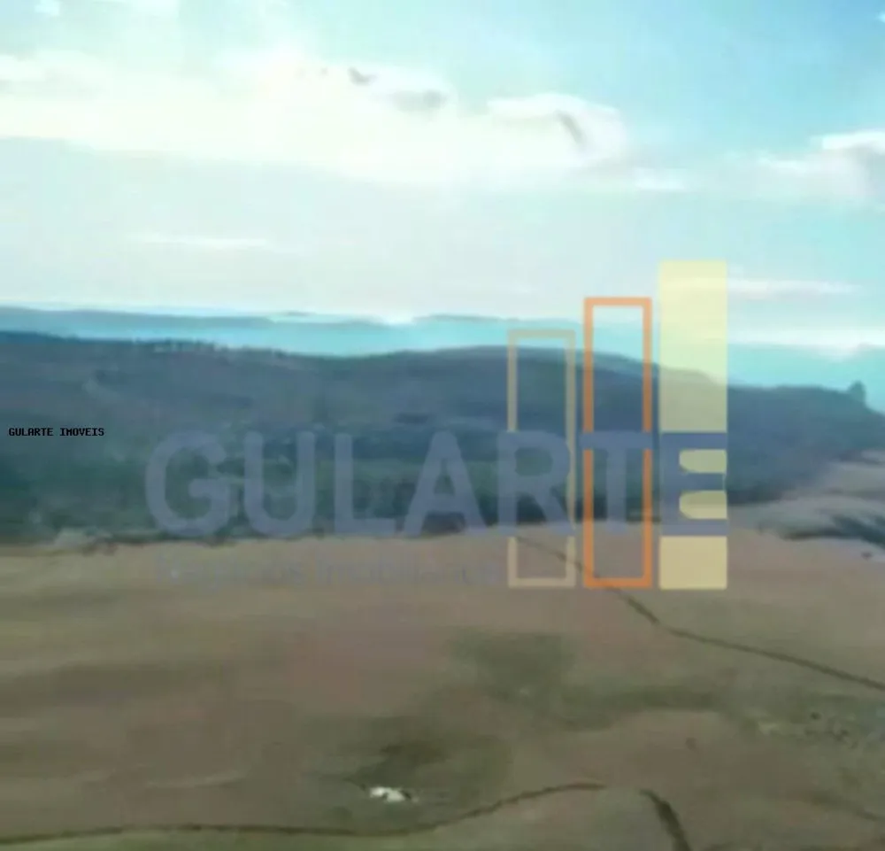 Fazenda, 103 hectares - Foto 7