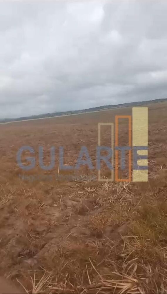 Fazenda-Sítio-Chácara, 293 hectares - Foto 1