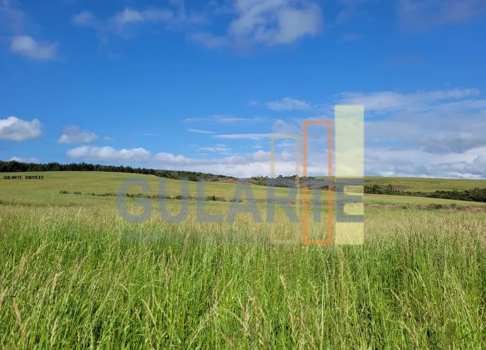 Fazenda, 186 hectares - Foto 2