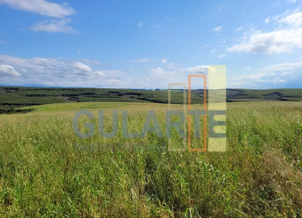 Fazenda, 186 hectares - Foto 1