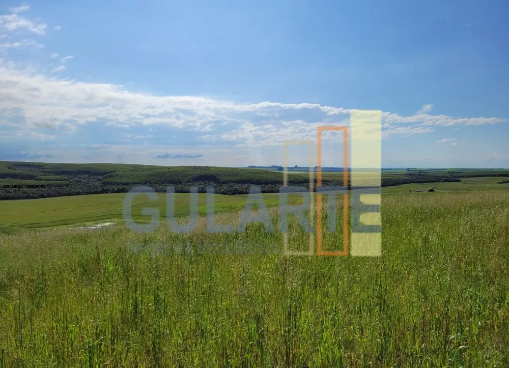 Fazenda, 186 hectares - Foto 4