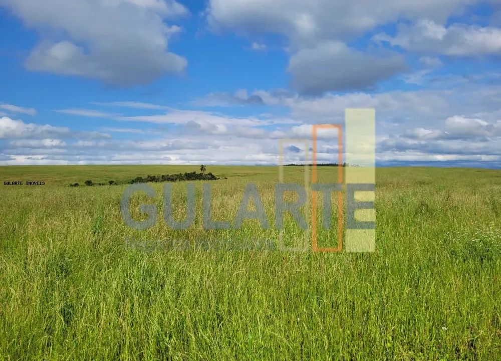 Fazenda, 186 hectares - Foto 3