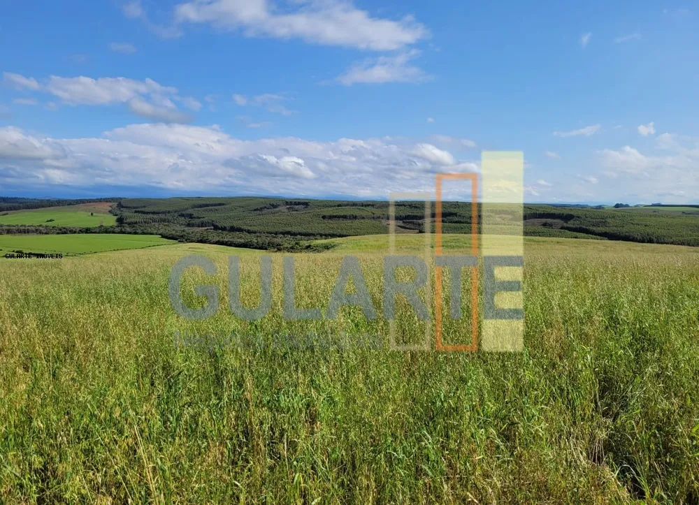 Fazenda, 186 hectares - Foto 3