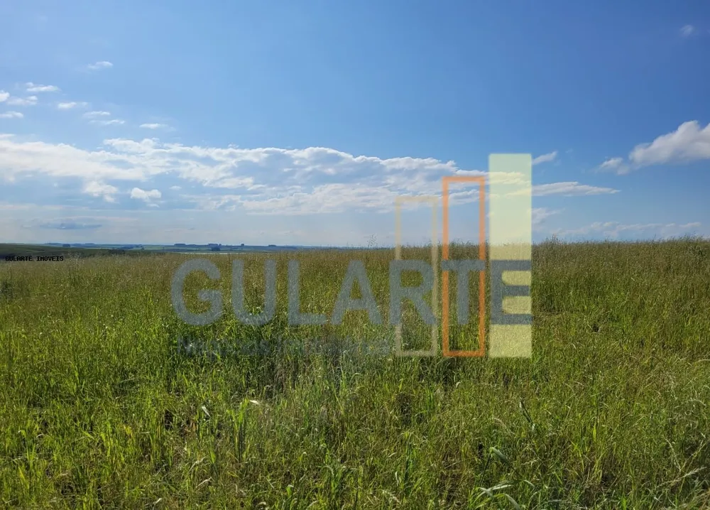 Fazenda, 186 hectares - Foto 7