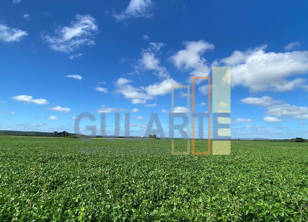 Fazenda-Sítio-Chácara, 640 hectares - Foto 1