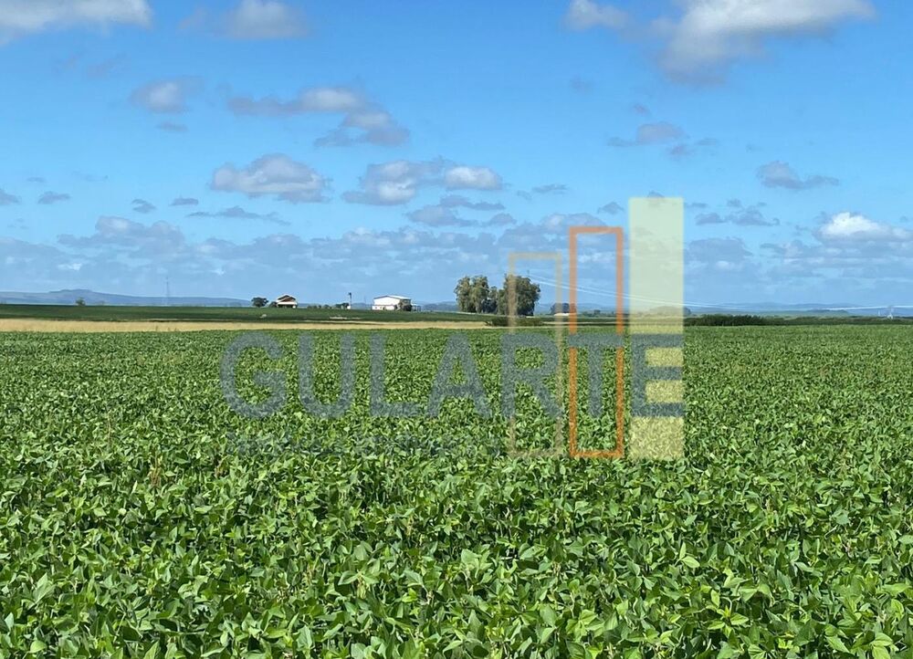 Fazenda-Sítio-Chácara, 640 hectares - Foto 2