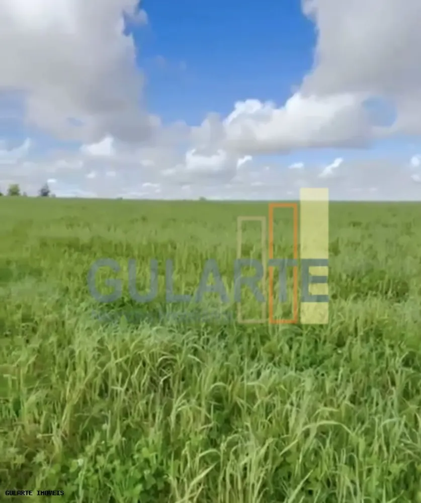 Fazenda, 692 hectares - Foto 8