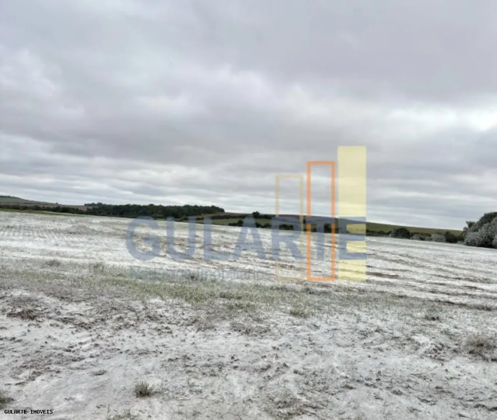Fazenda, 692 hectares - Foto 12